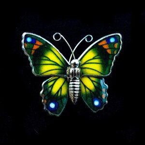 VIBRANTLY COLORED GOLDTONE BUTTERFLY PIN - JOBEM1